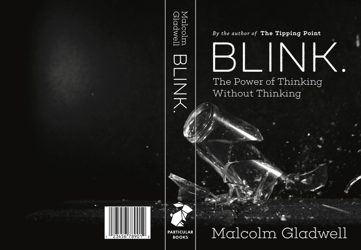 Version one of first draft of book cover
